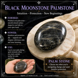 Black Moonstone Palmstone