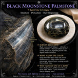 Black Moonstone Palmstone