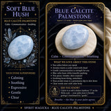Blue Calcite Palmstone