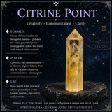 ♓ Gemini - Zodiac Crystal Set