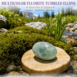 Multicolor Fluorite Tumbled Ellipse