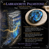Labradorite Palmstone