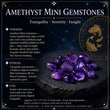 ♓ Pisces - Zodiac Crystal Set