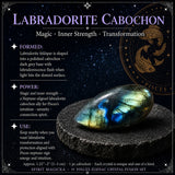 ♓ Pisces - Zodiac Crystal Set