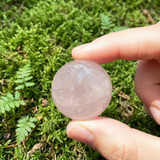 Rose Quartz Fox – Heart Harmony Power Set