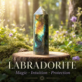 5-Piece Guardian Crystal Energy Protection Set