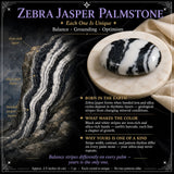 Zebra Jasper Palmstone